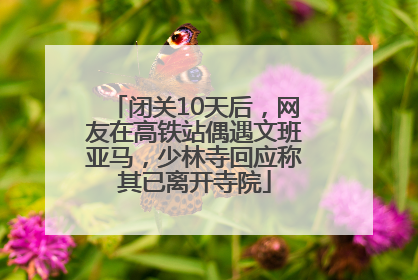 闭关10天后，网友在高铁站偶遇文班亚马，少林寺回应称其已离开寺院